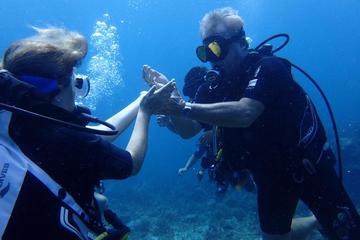 Single-Tank Dive for Certified Diver