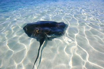 Grand Turk Gibbs Cay Stingray and Snorkel Adventure