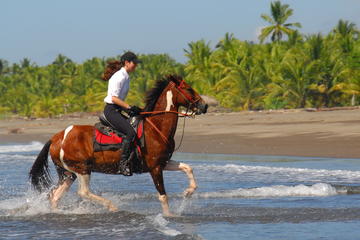 Beach Horseback Riding Adventure Near Jaco