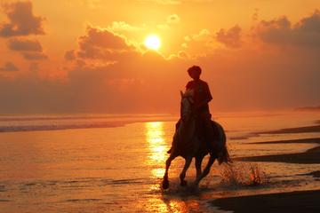 Horseback Riding Adventure From Quepos