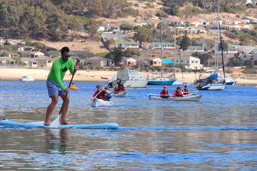 Cape Peninsula Adventure Tour