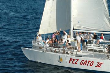 Sunset Party Cruise in Los Cabos aboard the Pez Gato