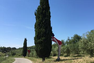 Contemporary Art In The Chianti Hills