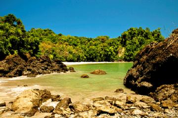 Day Trip to Manuel Antonio National Park from San Jose