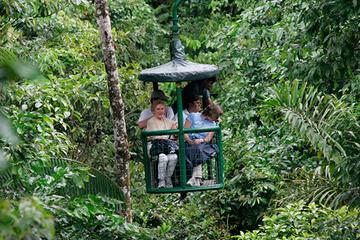 RAINFOREST ADVENTURE - 3 IN 1 -