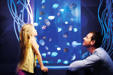 Gardaland SEA LIFE Aquarium Skip-the-Line Entry Ticket