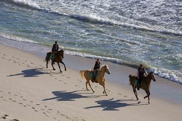 Horseback Riding Tour from Punta Cana