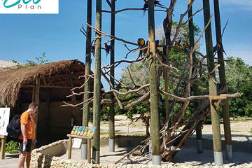 Eco Plan National Aviary and Lunch in playa Blanca Beach