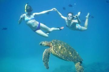 Lanai Snorkel Adventure