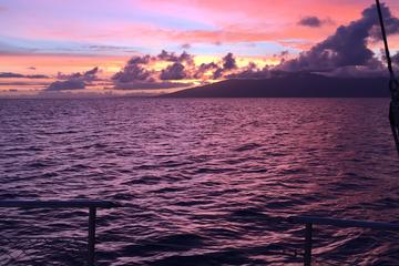 Sunset Whale Watch