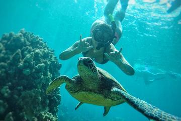West Maui Snorkeling Adventure