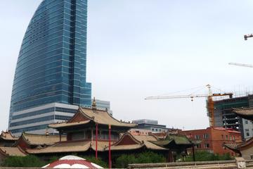 Ulaanbaatar City Day Tour