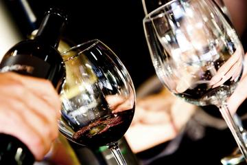 Ljubljana Small-Group Wine Tasting Experience