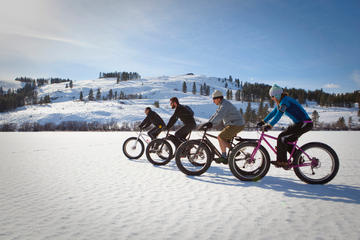 Fat eBike Ride on Mount Royal