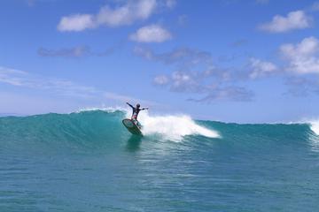 East Side of Oahu Surfing Tour
