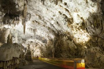 Postojna Cave with Train Ride and Predjama Castle Half Day Trip from Ljubljana