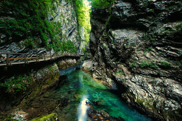 Visit Lake Bled  and step into fairytale of Vintgar Gorge  Half Day Tour from Ljubljana
