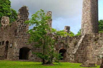 St Kitts Plantation and Beach Tour