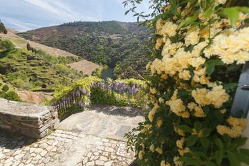 Douro Valley Private Tour
