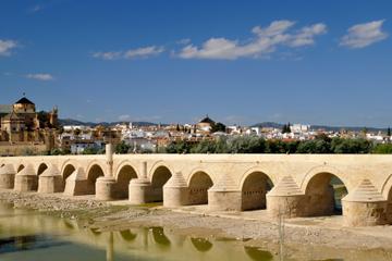 2-Day Cordoba Trip from Seville Including Medina Azahara, Carmona and Skip-the-Line Entrance to Cordoba Mosque-Cathedral