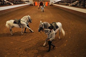 Jerez and Cádiz Day Trip from Seville Including Sherry Tasting, Andalusian Horse Show and Ferry Ride