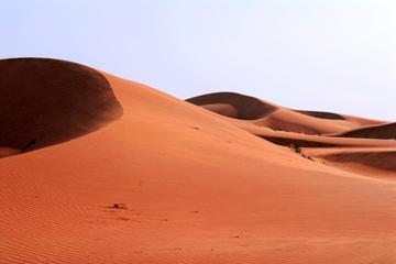 Desert Safari in a 4 x 4 with Sand Ski and Camel Ride from Dubai