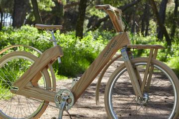The Wooden Bicycle Tour in Stockholm
