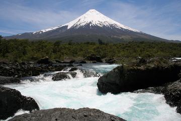 Puerto Montt Shore Excursion: Petrohué Falls Tour