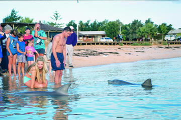 Monkey Mia Dolphins Tour
