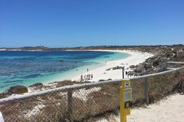 Wave Rock Pinnacles and Rottnest Day Tour