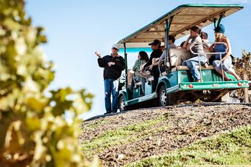 2-Day Muir Woods and Wine Country Tour from San Francisco