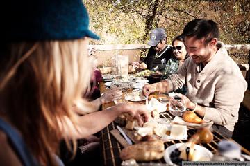 Napa and Sonoma Wine Education Tour with Lunch