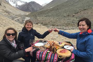Private Tour: Andes Mountains with Wine Tasting from Santiago