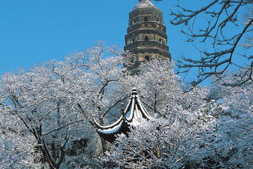 Suzhou Highlight Half-Day Tour