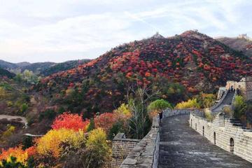 Coach Tour: Mutianyu Great Wall Day Trip with Lunch