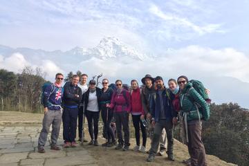 Close Up Poon Hill Circuit with Ghandruk Village Trek from Pokhara Nepal