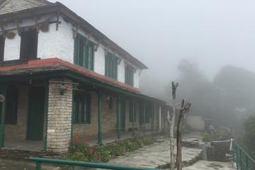 Dhampus Hill Easy Family Trekking