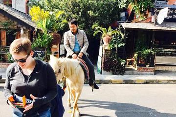Excited Pony Ride Tour to World Peace Stupa from Pokhara Nepal