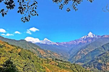 Luwang Village Home Stay Easy Trek with Tea Garden Visit