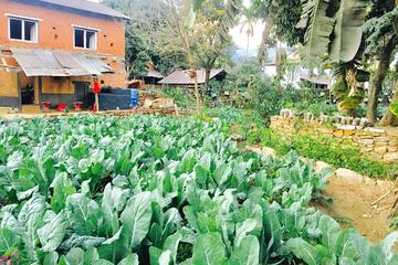 Permaculture Organic Farm Tour in Pokhara Nepal