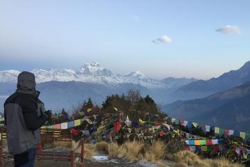 Poon Hill Amazing Short Trekking
