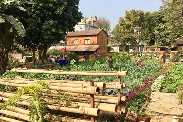 Urban Organic Farm Tour with Authentic Nepali Lunch in Pokhara Nepal