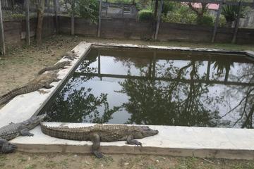 Wildest Adventure in Bardiya National Park Nepal