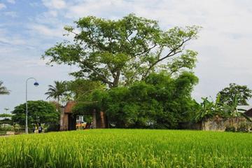 Hanoi-Duong Lam Ancient Village-Bat Trang Ceramic Village Full Day Tour