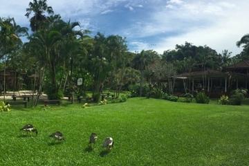 Private Tour : Bali Bird park and Tegenungan Waterfall