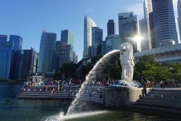 Private Tour:Experiencing Singapore In Full Day Including Lunch