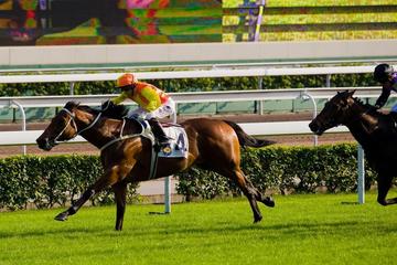Private Tour: Hong Kong Highlights with Jockey at Wan Chai