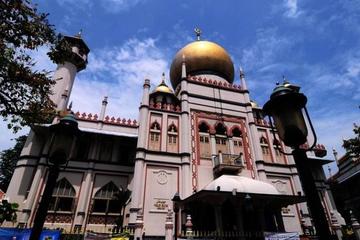 Private Tour: Singapore Highlights Escorted Tour with Public Transportation