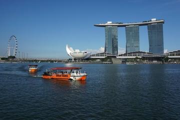 Private Tour: Singapore Highlights in Full Day for Family with Kids