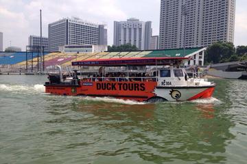 Private Tour:Singapore National Museum and Singapore Flyer and Ducktour